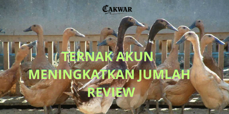 Fenomena Pelaku Usaha Ternak Akun Demi Review Google My Business: Efek Logaritma Google yang Bikin Panik