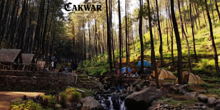 Klurak Eco Park, Pacet, Mojokerto : Camping di Hutan Pinus yang Asri