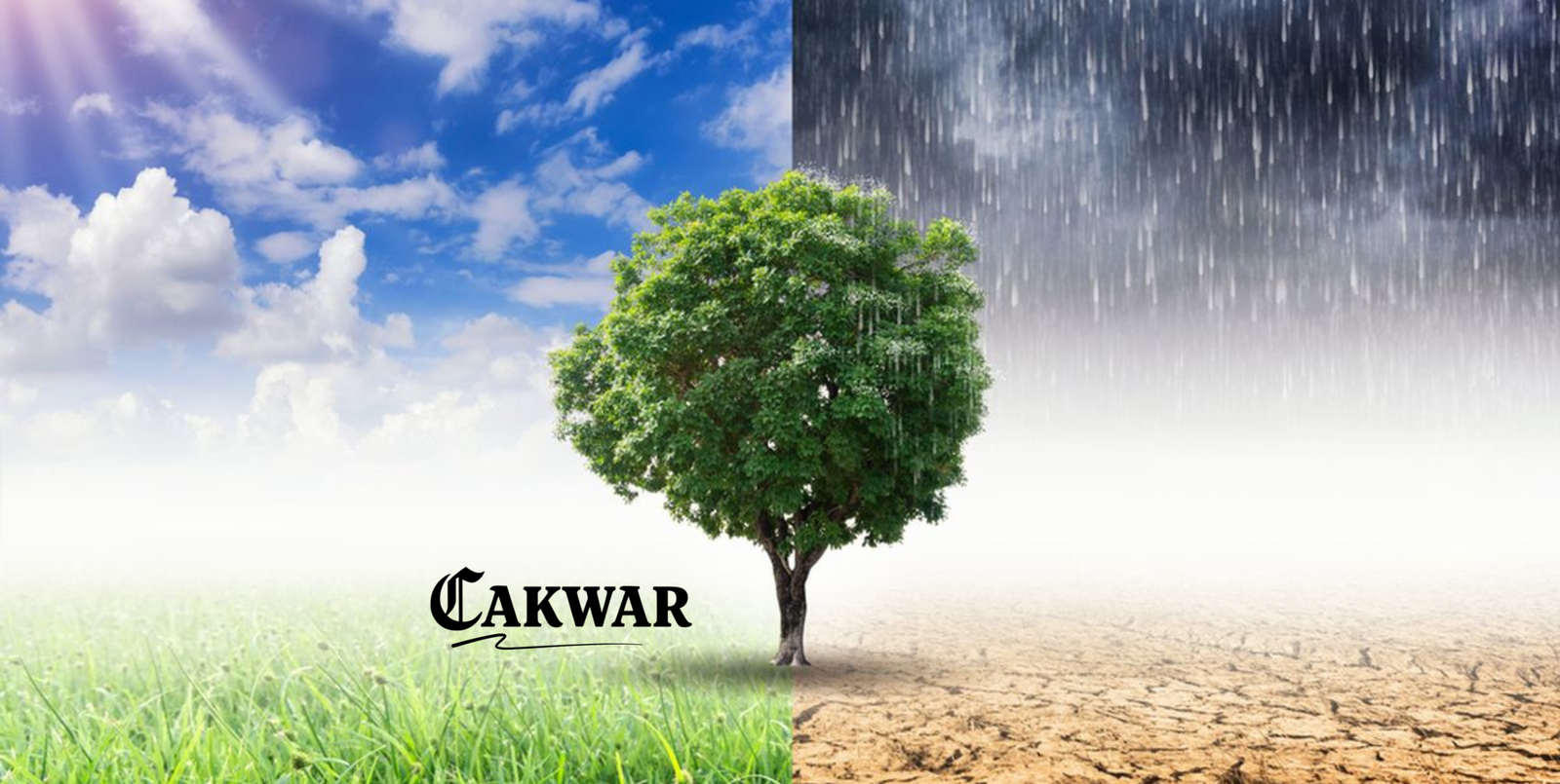 Fakta Menarik tentang Cuaca Tropis di Indonesia