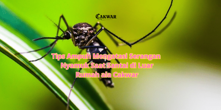 Tips Ampuh Mengatasi Serangan Nyamuk Saat Santai di Luar Rumah ala Cakwar