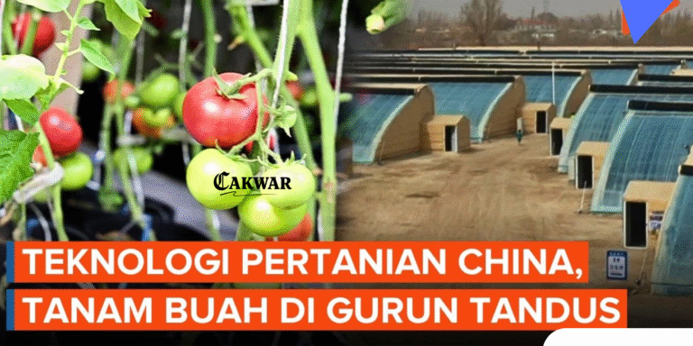 Wanita Muda China Ubah Gurun Taklimakan Jadi Lahan Subur dengan Teknologi Modern