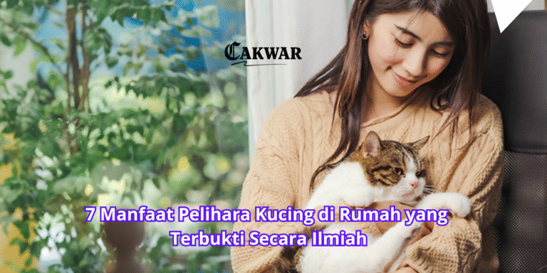 7 Manfaat Pelihara Kucing di Rumah yang Terbukti Secara Ilmiah