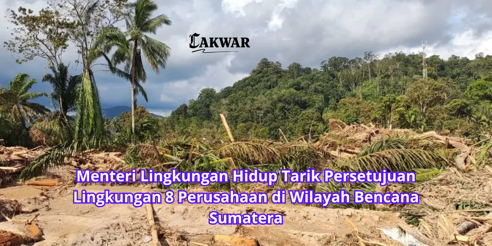 Menteri Lingkungan Hidup Tarik Persetujuan Lingkungan 8 Perusahaan di Wilayah Bencana Sumatera