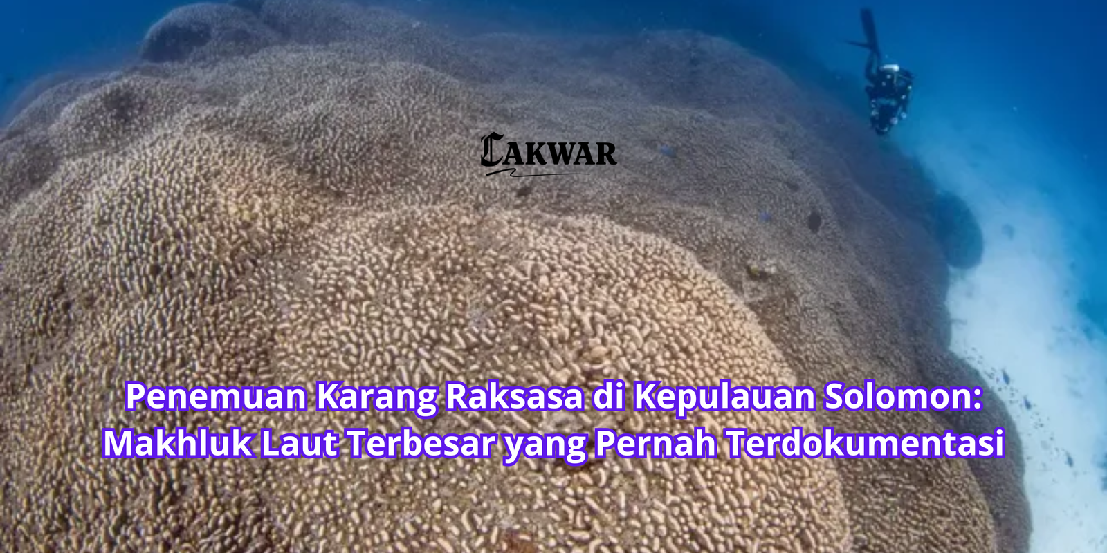 Penemuan Karang Raksasa di Kepulauan Solomon: Makhluk Laut Terbesar yang Pernah Terdokumentasi