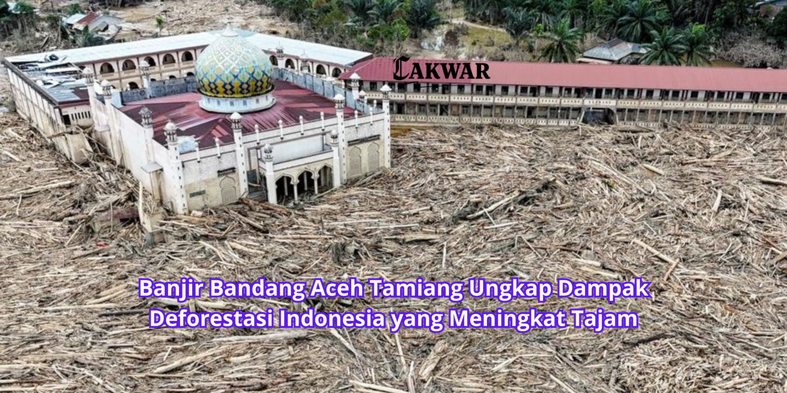 Banjir Bandang Aceh Tamiang Ungkap Dampak Deforestasi Indonesia yang Meningkat Tajam