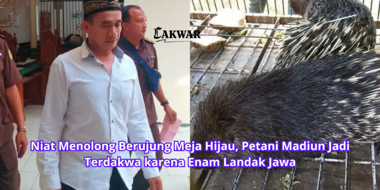 Niat Menolong Berujung Meja Hijau, Petani Madiun Jadi Terdakwa karena Enam Landak Jawa
