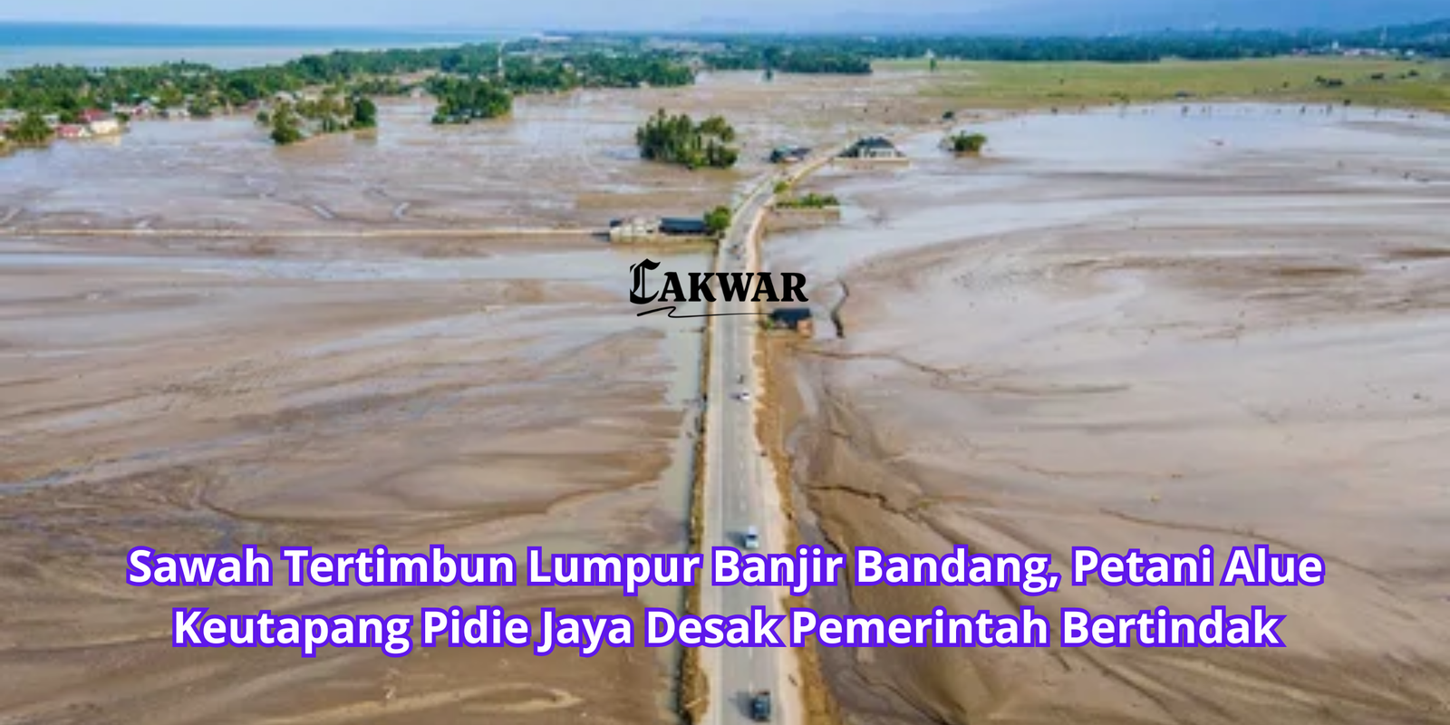 Sawah Tertimbun Lumpur Banjir Bandang, Petani Alue Keutapang Pidie Jaya Desak Pemerintah Bertindak