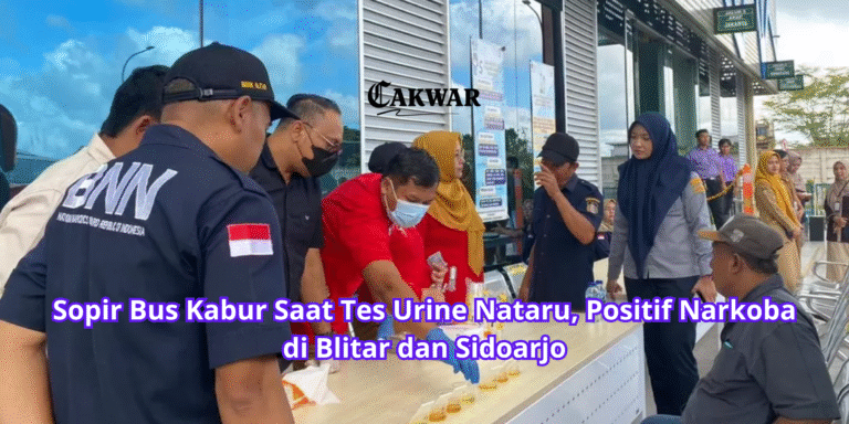 Sopir Bus Kabur Saat Tes Urine Nataru, Positif Narkoba di Blitar dan Sidoarjo