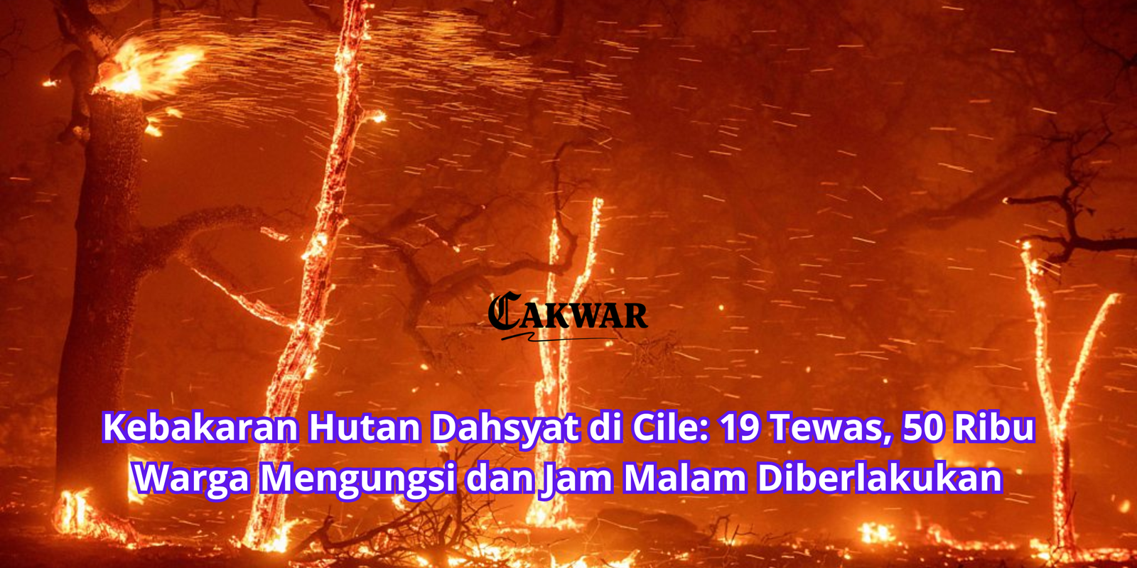 Kebakaran Hutan Dahsyat di Cile: 19 Tewas, 50 Ribu Warga Mengungsi dan Jam Malam Diberlakukan – Copy