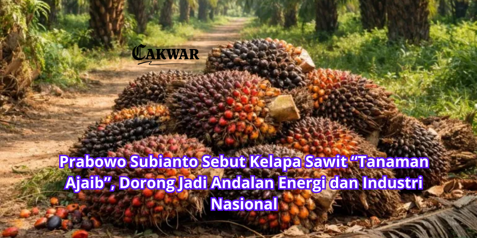 Prabowo Subianto Sebut Kelapa Sawit “Tanaman Ajaib”, Dorong Jadi Andalan Energi dan Industri Nasional