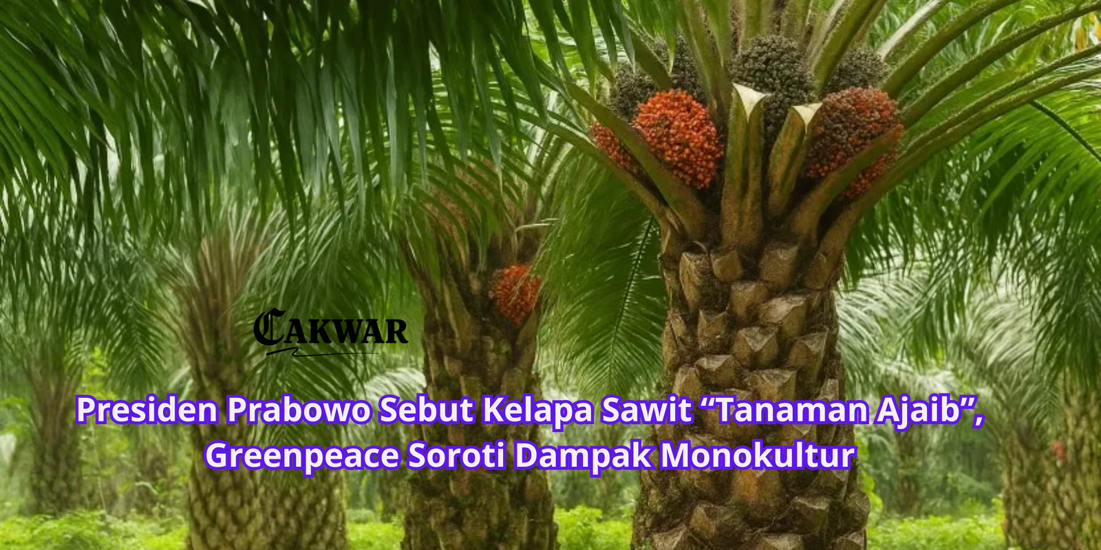 Presiden Prabowo Sebut Kelapa Sawit “Tanaman Ajaib”, Greenpeace Soroti Dampak Monokultur