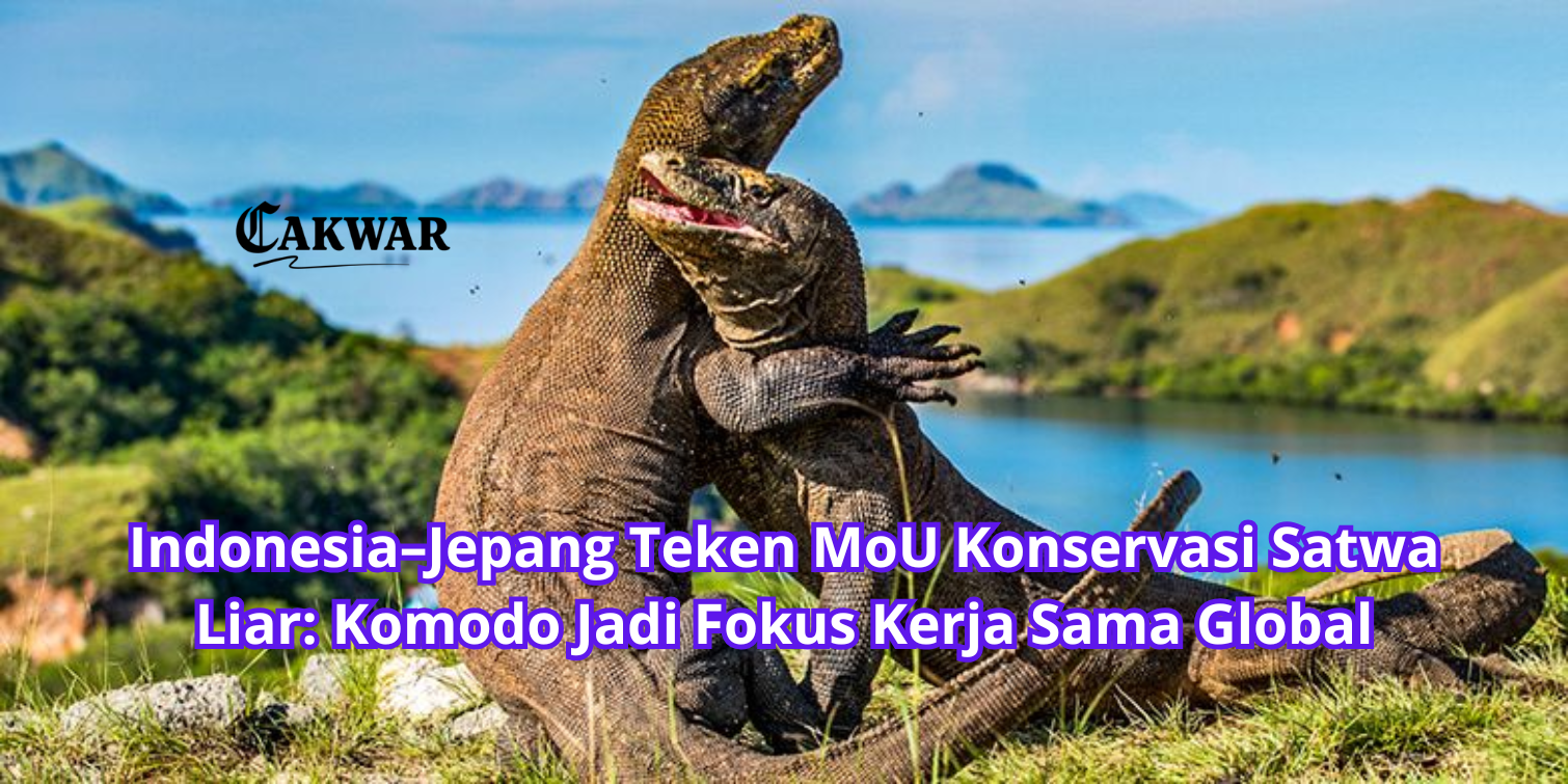 Indonesia–Jepang Teken MoU Konservasi Satwa Liar: Komodo Jadi Fokus Kerja Sama Global