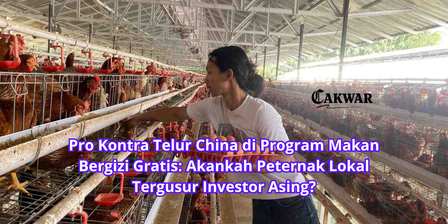 Pro Kontra Telur China di Program Makan Bergizi Gratis: Akankah Peternak Lokal Tergusur Investor Asing?
