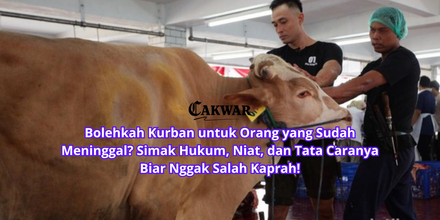 Bolehkah Kurban untuk Orang yang Sudah Meninggal? Simak Hukum, Niat, dan Tata Caranya Biar Nggak Salah Kaprah!