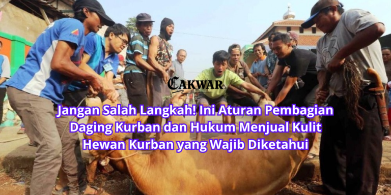 Jangan Salah Langkah! Ini Aturan Pembagian Daging Kurban dan Hukum Menjual Kulit Hewan Kurban yang Wajib Diketahui