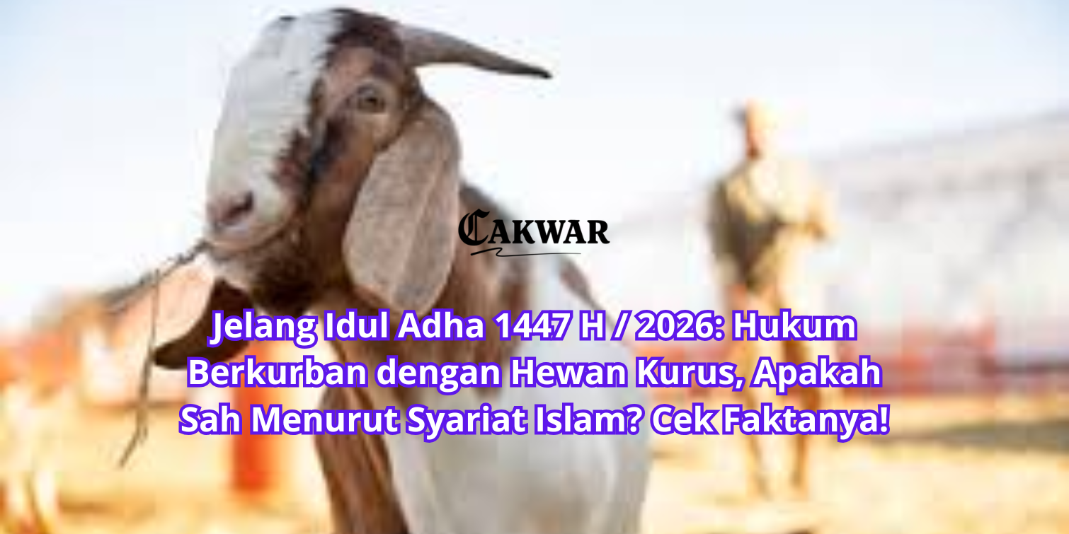 Jelang Idul Adha 1447 H / 2026: Hukum Berkurban dengan Hewan Kurus, Apakah Sah Menurut Syariat Islam? Cek Faktanya!